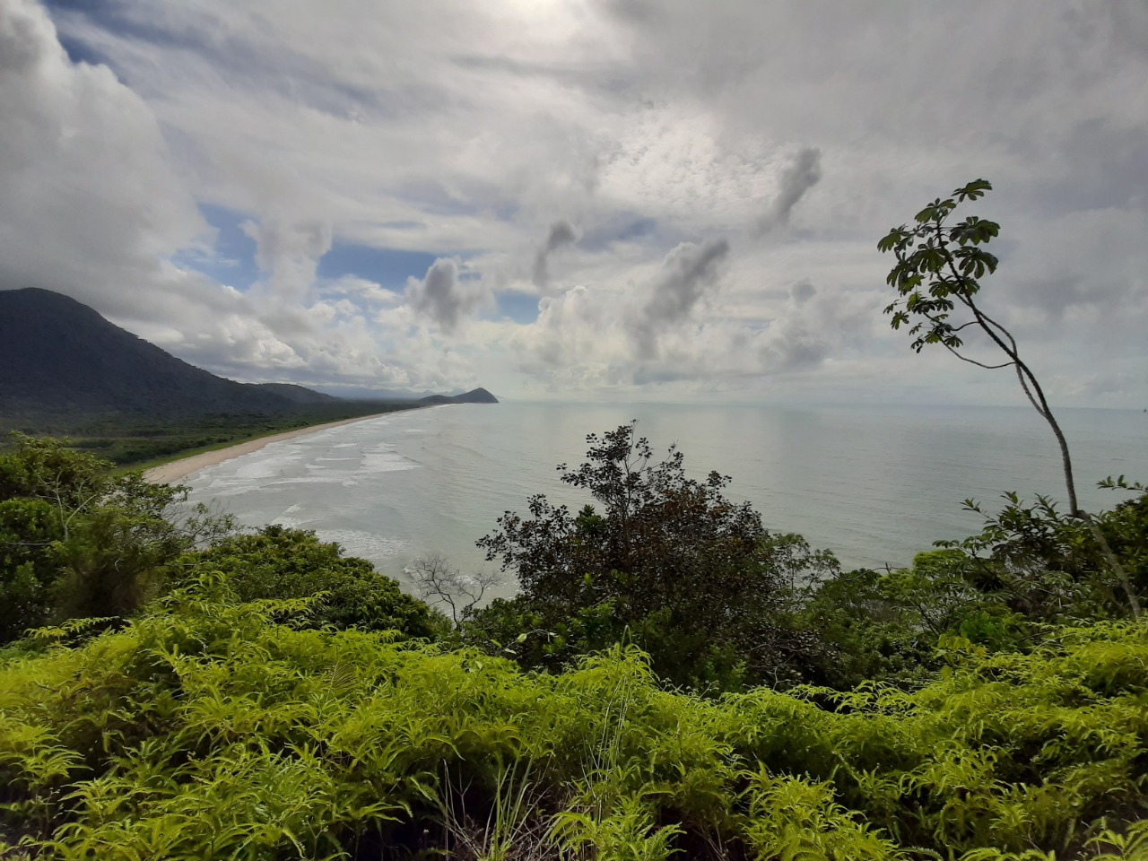 Guia de Áreas Protegidas